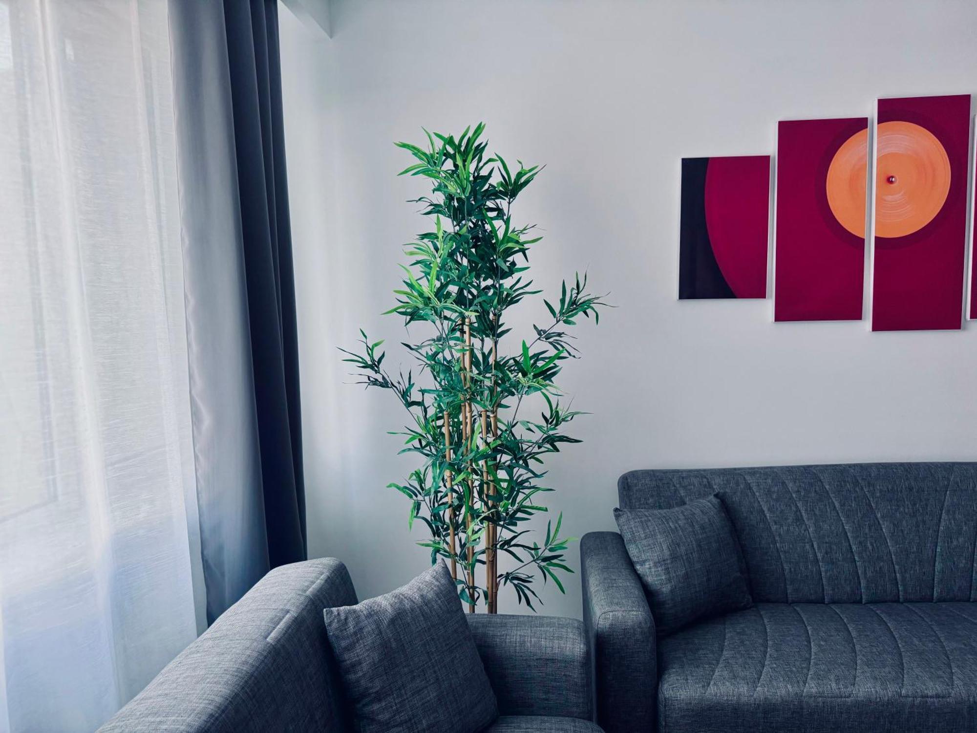 Unde Home بوخارست المظهر الخارجي الصورة